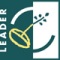 Logo Leader pieni